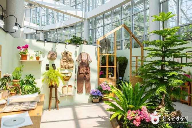 Discover Sejong Arboretum - image 4