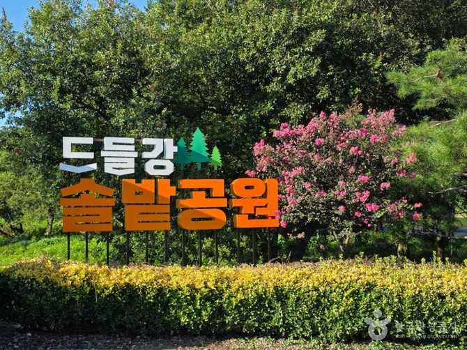 나주 드들강솔밭유원지, 자연 속 힐링과 휴식을 동시에 즐기기 5