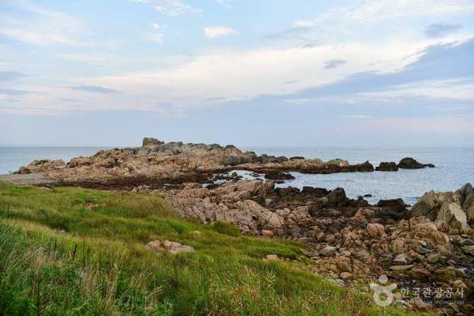 Explore Busan Osiria Coastal Walkway - image 1
