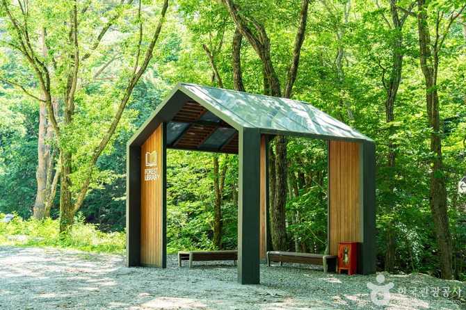 Discover the Beauty of Yeongyang - image 1