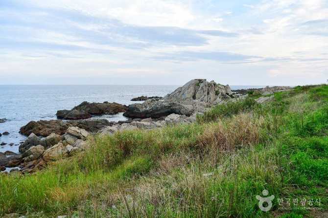 Explore Busan Osiria Coastal Walkway - image 10