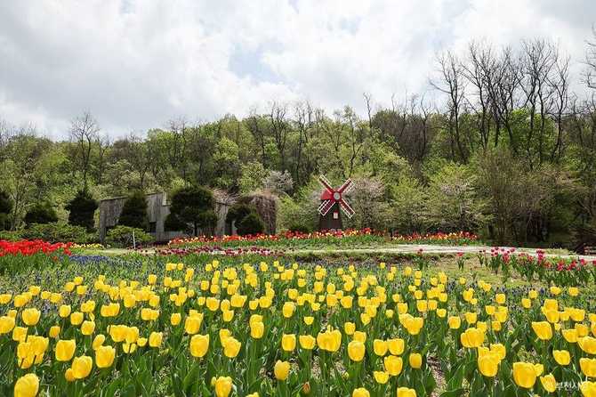 Discover Bucheon Natural Ecology Park - image 2