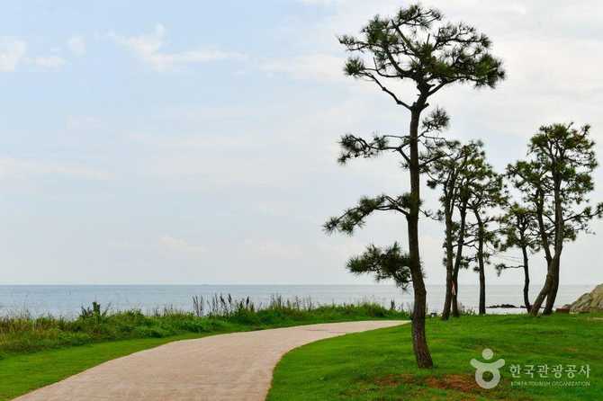 Explore Busan Osiria Coastal Walkway - image 9