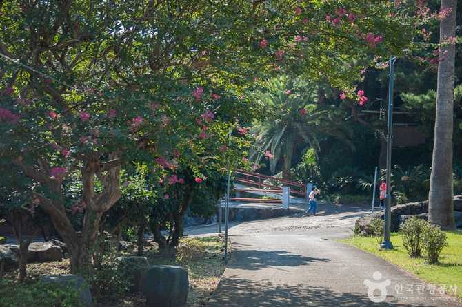 제주 약천사: 역사와 관광, 템플스테이 정보 총정리 7