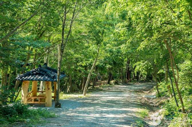 Discover the Beauty of Yeongyang - image 10