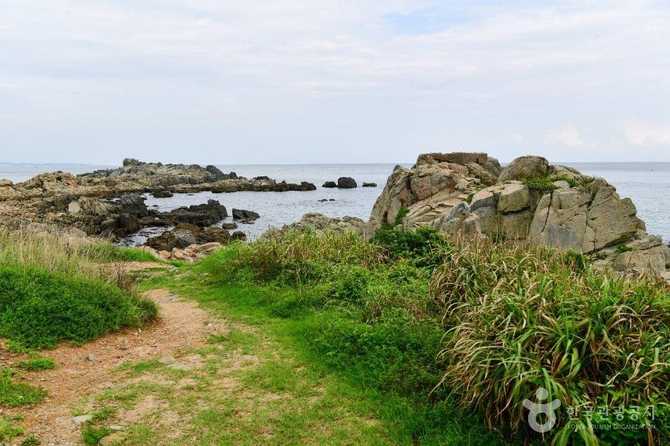 Explore Busan Osiria Coastal Walkway - image 8
