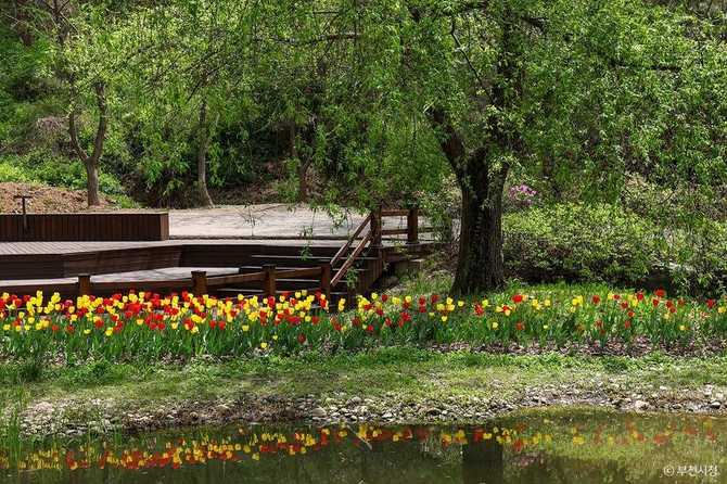 Discover Bucheon Natural Ecology Park - image 1
