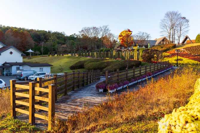 Imsil Cheese Theme Park - image 4