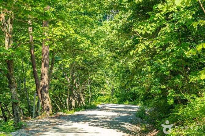 Discover the Beauty of Yeongyang - image 9