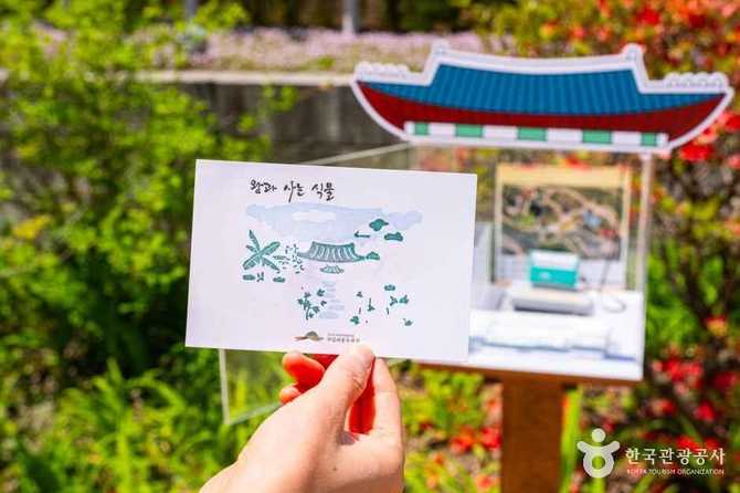 Discover Sejong Arboretum - image 11