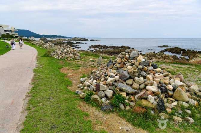 Explore Busan Osiria Coastal Walkway - image 7