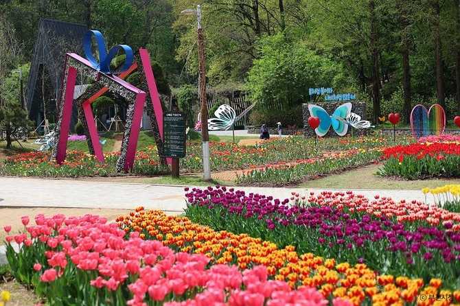 Discover Bucheon Natural Ecology Park - image 14