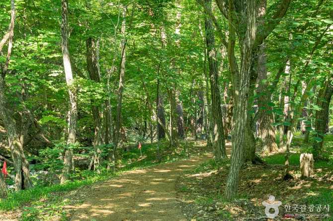 Discover the Beauty of Yeongyang - image 7