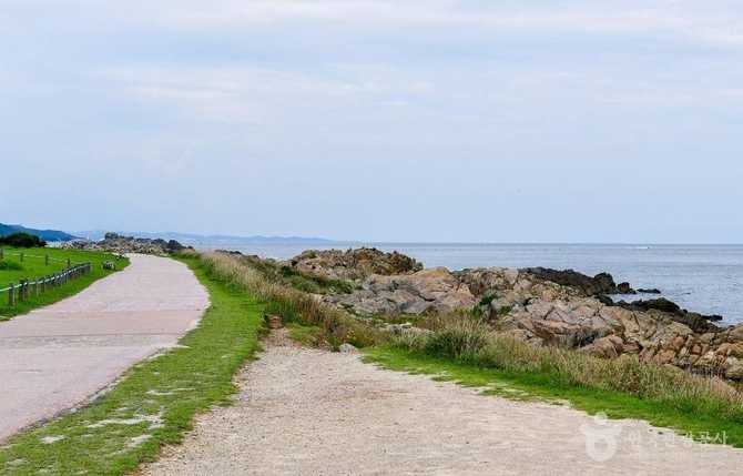 Explore Busan Osiria Coastal Walkway - image 6