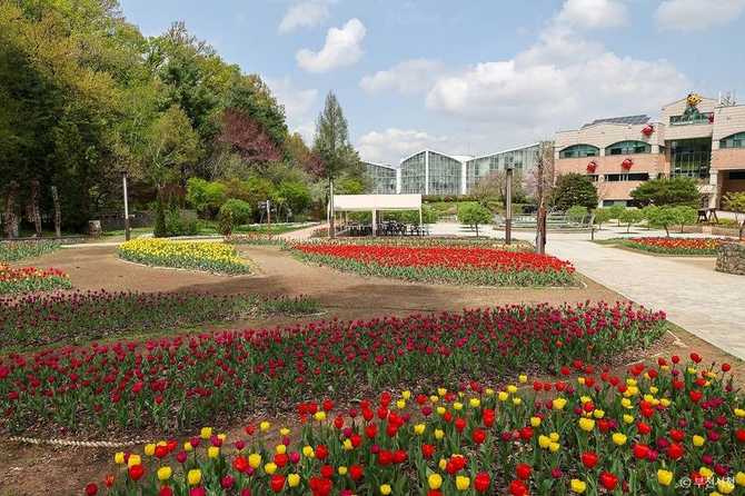 Discover Bucheon Natural Ecology Park - image 11
