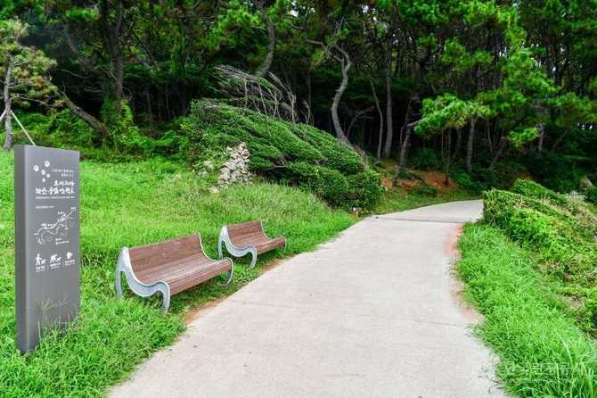 Explore Busan Osiria Coastal Walkway - image 13