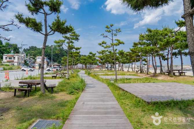 Discover Dongsanpo Beach - image 2