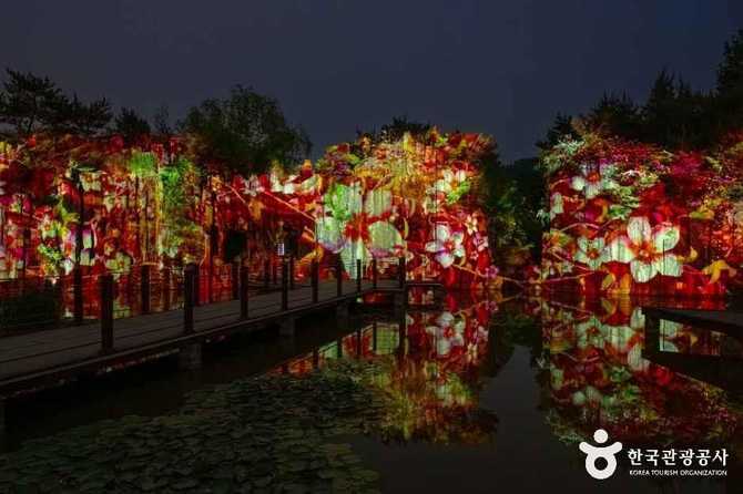 Discover Bucheon Natural Ecology Park - image 10