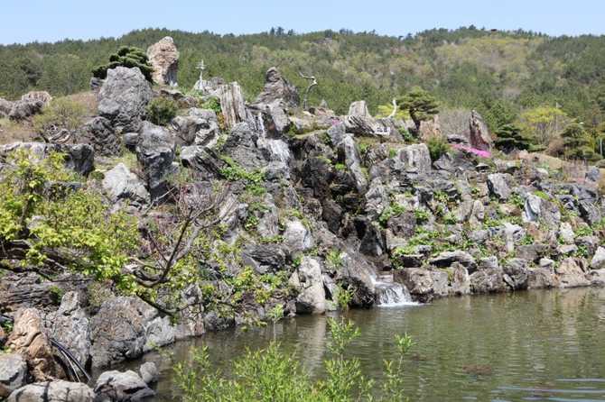 Discover 1004 Islands Bonsai Garden - image 8
