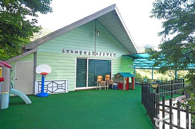 Suanbo Insect Museum - image 3