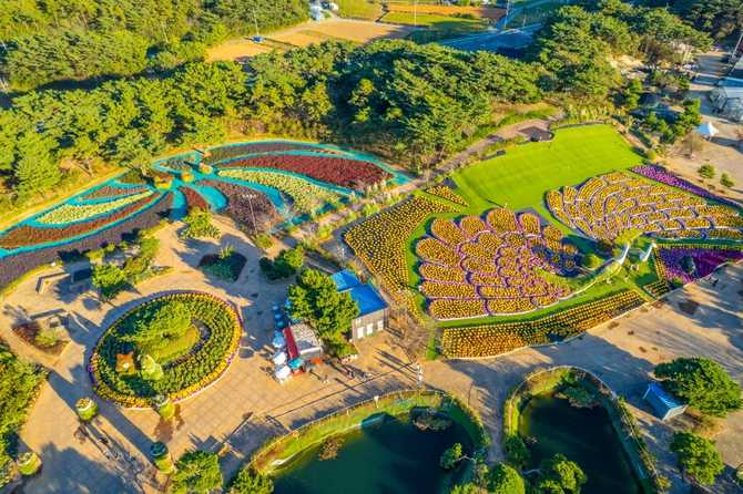 Discover Korea Flower Park - image 6