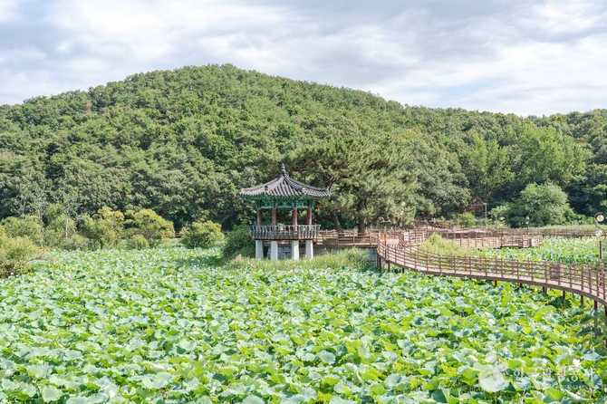 경북 구미시 들성생태공원 방문 가이드 및 핵심 정보 2