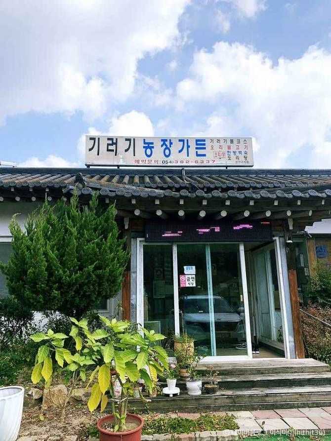 경상북도 군위군 기러기농장가든, HACCP 인증 사료로 안전하게 기러기 요리 즐기기 2