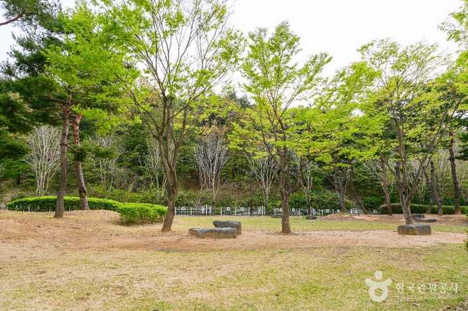 경주시 흥무공원, 김유신 장군 묘 인근의 휴식 명소 소개 2