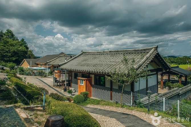 Experience Tranquility at Suncheon Bay - image 1