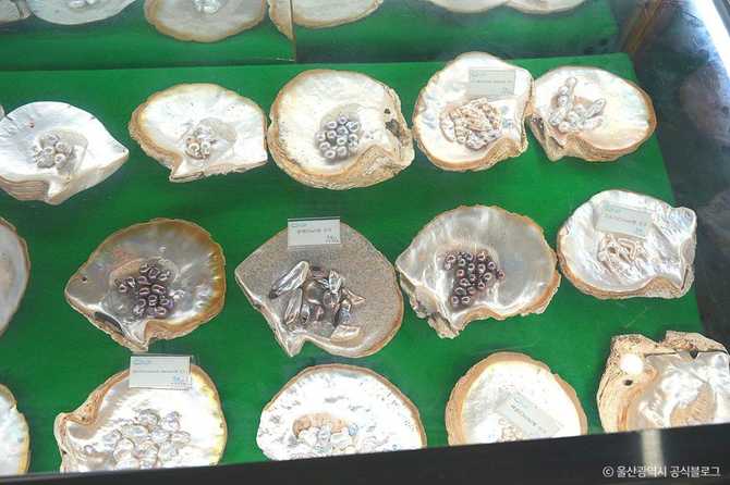 Ulsan Marine Museum - image 2