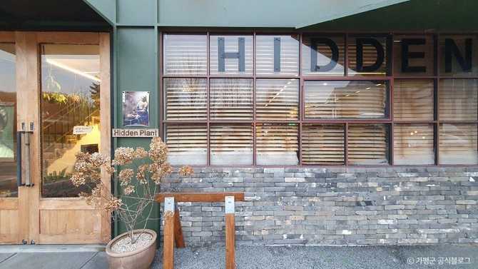 경기도 가평 히든플랜트 카페, 열대 정원과 독특한 인테리어의 힐링 명소 3