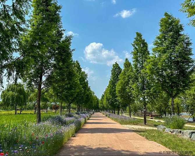 Discover Geochang Changpo Park - image 2
