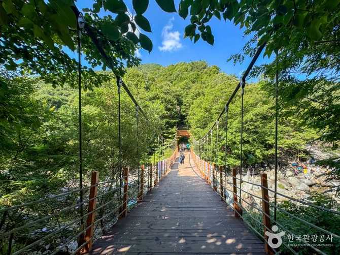 Discover the Beauty of Cheolgu - image 1