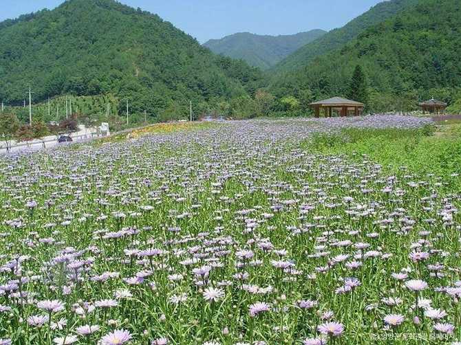 Discover Jeilwol Mountain - image 3