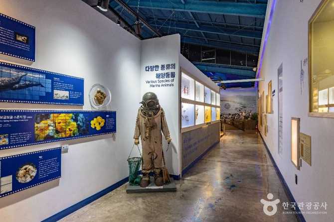 제주해양동물박물관 가이드: 해양생물 체험과 교육의 명소 9