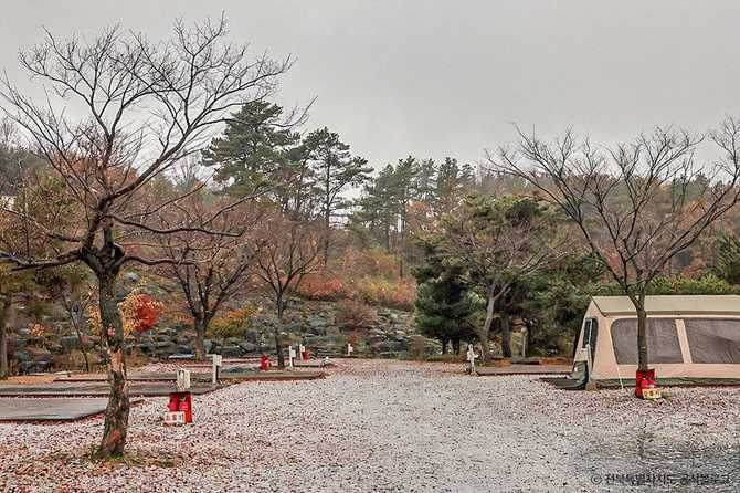 Lohas Camping Site in Jeongeup - image 1