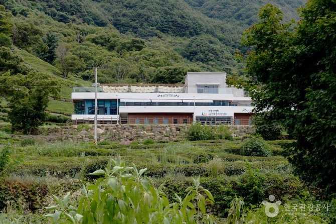 하동 숲속 카페, 자연과 함께하는 힐링 공간 소개 2