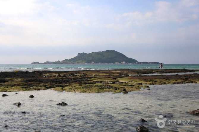 제주 협재해수욕장 가볼 만한 곳, 풍경과 편의시설 모두 갖춘 해수욕장 안내 5