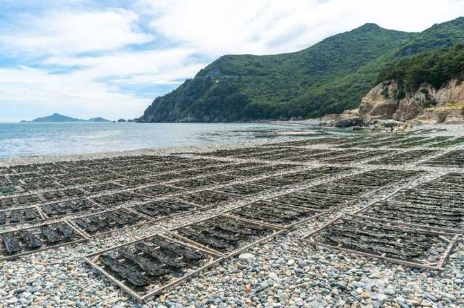 Discover Yeochamdong Beach - image 2