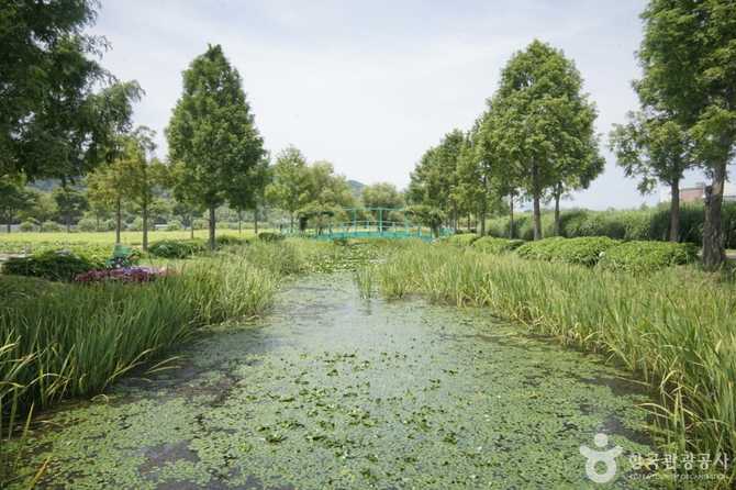 Explore Taehwagang National Garden - image 1