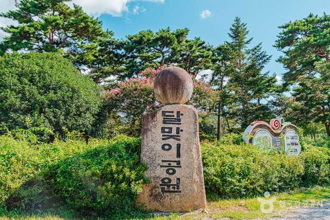 Discover Hampyeong Dalmaji Park - image 1