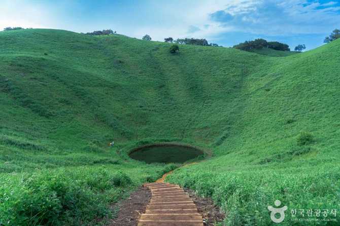 Discover the Beauty of Mt. - image 5