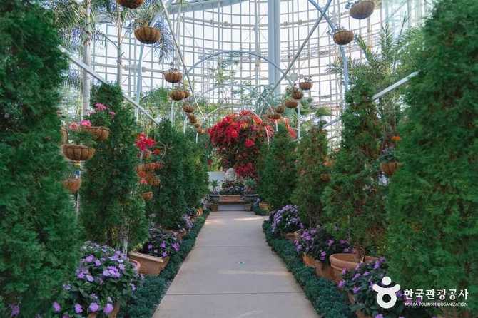 Discover Sejong Arboretum - image 7