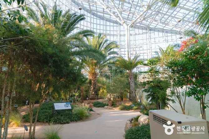 Discover Sejong Arboretum - image 19