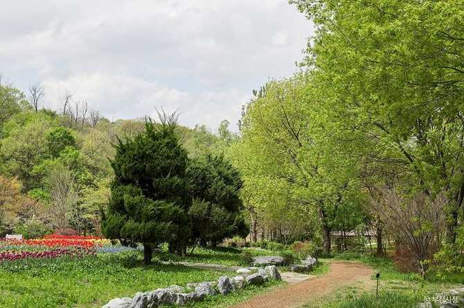 Discover Bucheon Natural Ecology Park - image 20