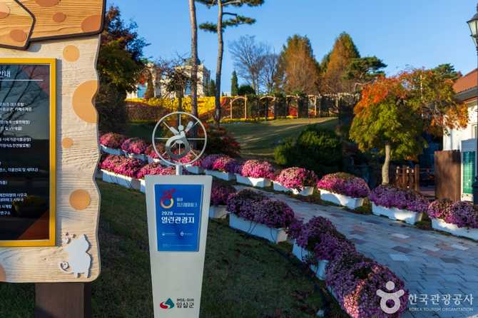 Imsil Cheese Theme Park - image 15