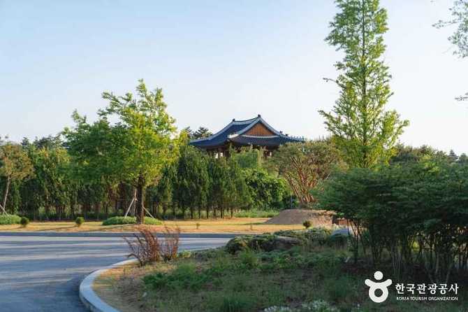 Discover Sejong Arboretum - image 15