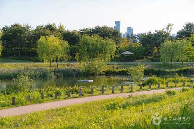 Discover Sejong Arboretum - image 16