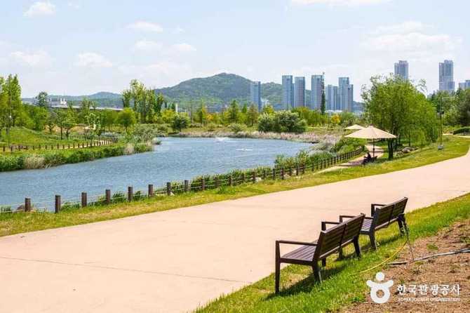 Discover Sejong Arboretum - image 13