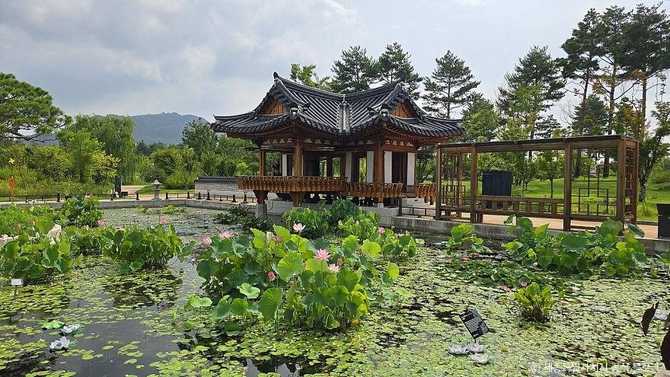 Discover Sejong Arboretum - image 22